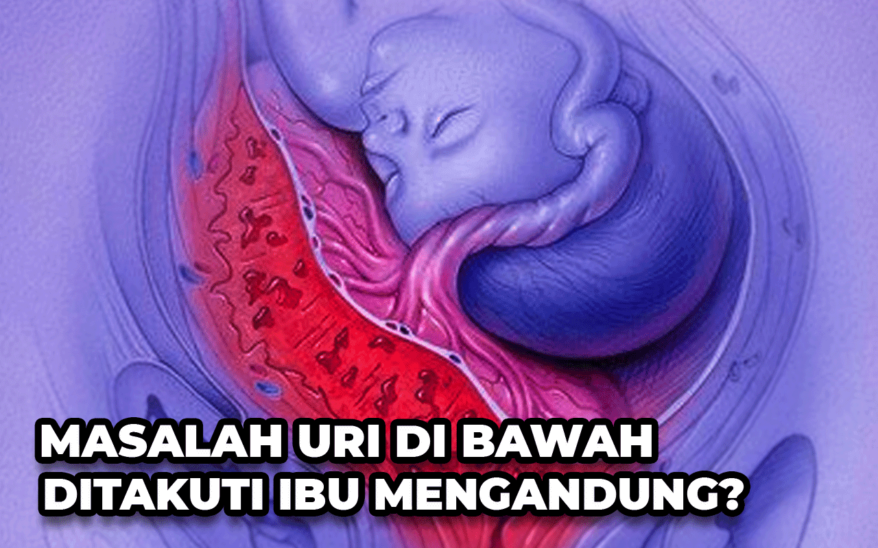 MASALAH URI DI BAWAH PALING DITAKUTI IBU MENGANDUNG